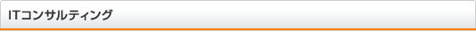 ITコンサルティング